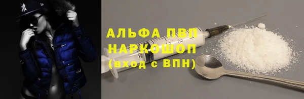 PSILOCYBIN Аркадак