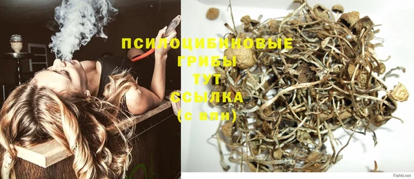 PSILOCYBIN Аркадак
