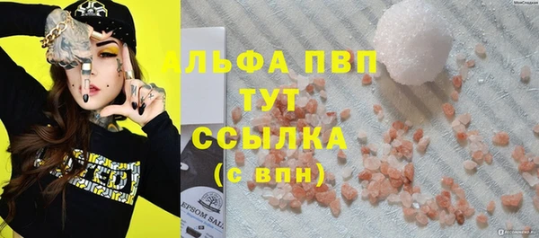 PSILOCYBIN Аркадак