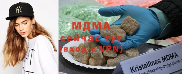 PSILOCYBIN Аркадак