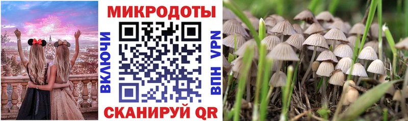 дарк нет телеграм  Вельск  Галлюциногенные грибы прущие грибы 